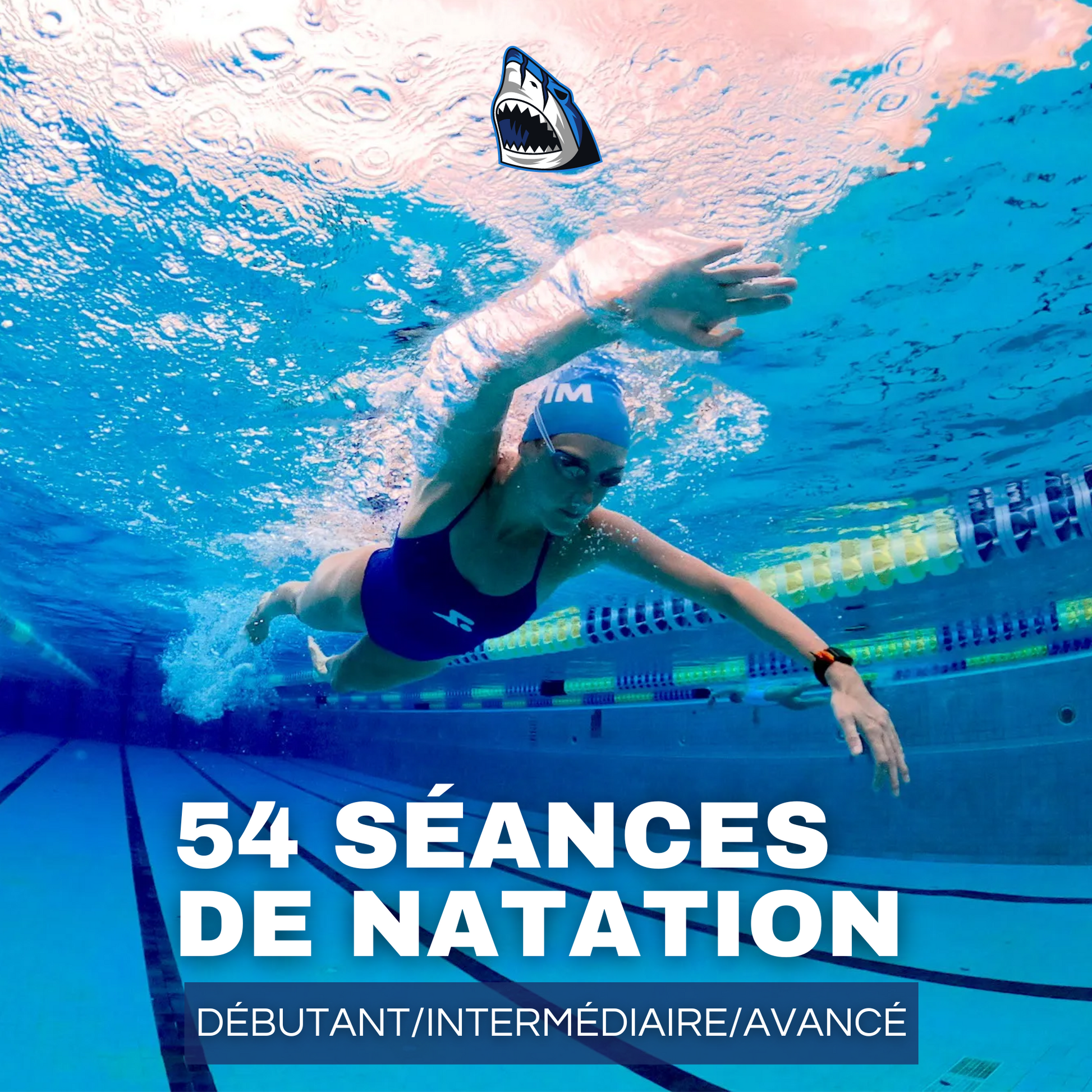 54 séances de natation (100m à 3000m)